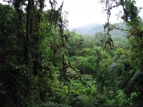 Vacunas para viajar a Costa rica